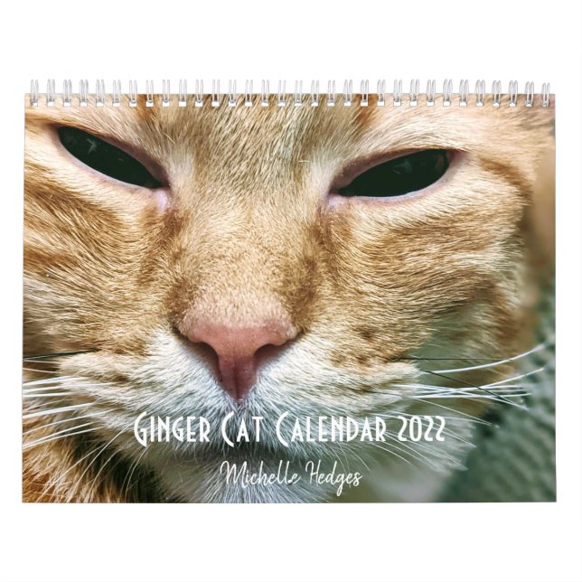 Calendrier 2022 de la muraille de chat Ginger (Protection)