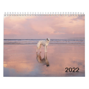 Calendrier 2022 Silken Windhounds (Debout)