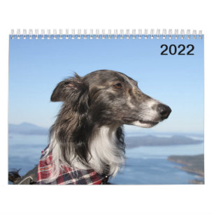 Calendrier 2022 Silken Windhounds (Tirs de tête)