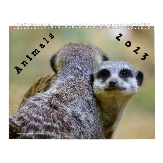 Calendrier 2023 Animaux (Protection)