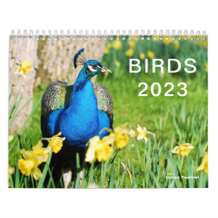 Calendrier 2023 de divers oiseaux