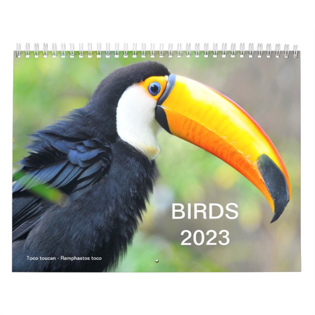 Calendrier 2023 de divers oiseaux (Protection)