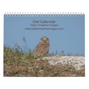 Calendrier 2023 des hiboux
