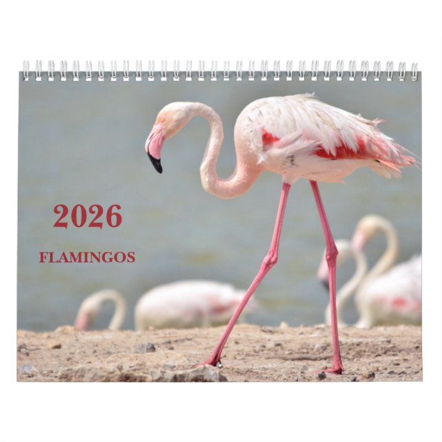 Calendrier 2023 flamants (Protection)