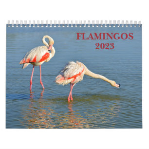 Calendrier 2023 Flamants roses