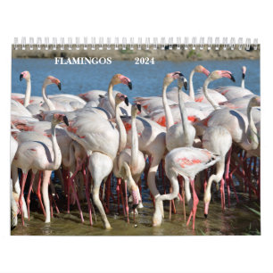 Calendrier 2023 Flamants roses