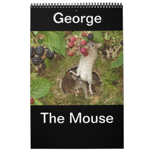Calendrier 2023 george la souris