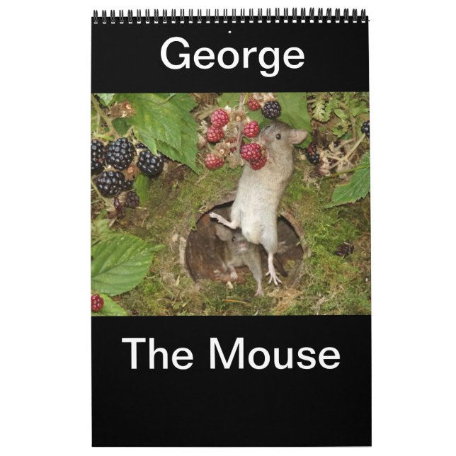 Calendrier 2023 george la souris (Protection)