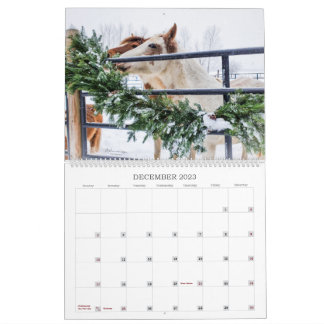 Calendrier 2023 - Une année de Mustang au Michigan