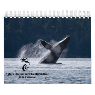 Calendrier 2024 avec baleines à bosse