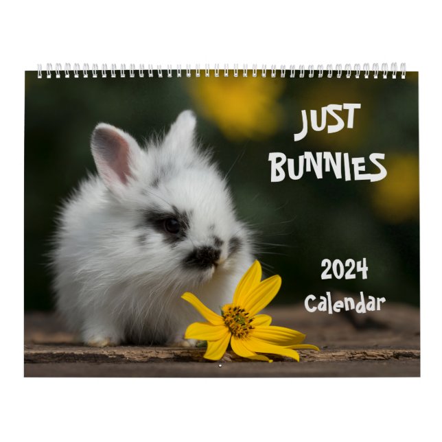 Calendrier 2024 Bunnies Grand Mur (Protection)