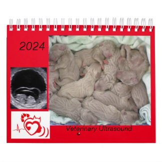 Calendrier 2024 de l'imagerie par ultrasons vétéri