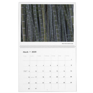 Calendrier 2025