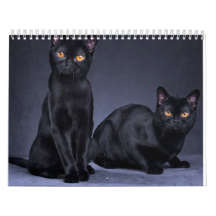 CALENDRIER 2025