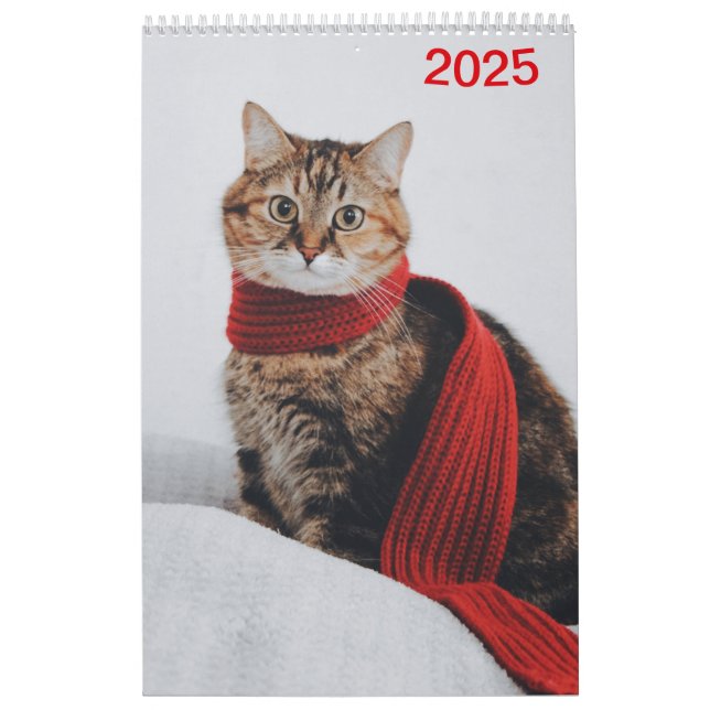 Calendrier 2025 (Protection)