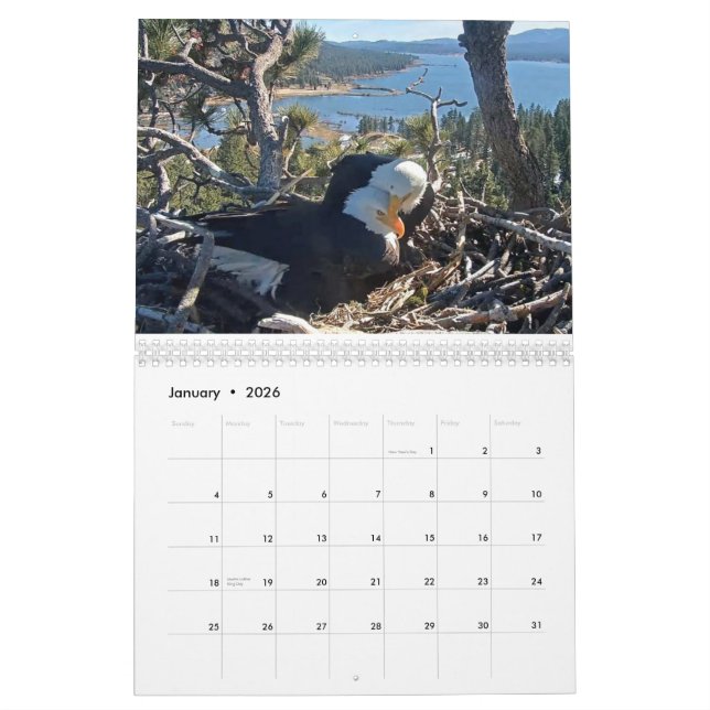 Calendrier 2025-2026 des Aigles Gros Ours (Jan 2026)