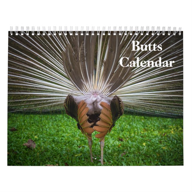 Calendrier 2025 boutons (Protection)