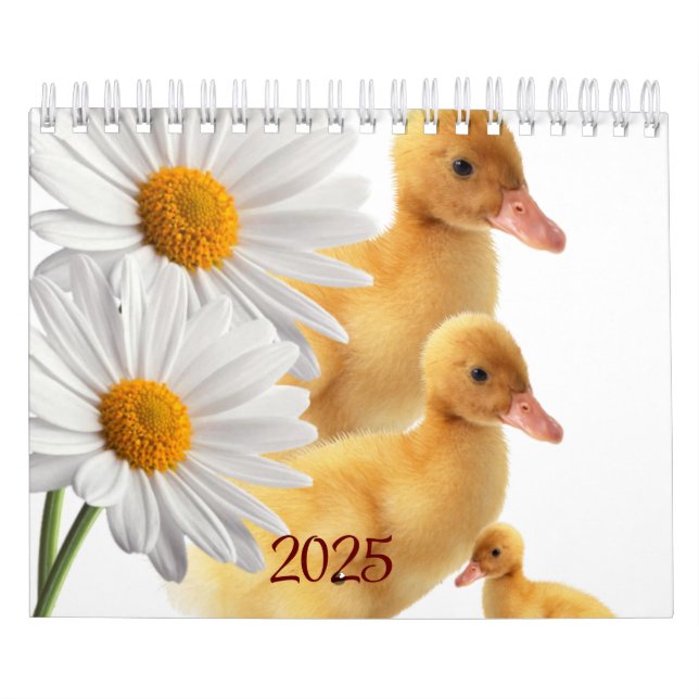 Calendrier 2025 Canards Daisy Floral (Protection)