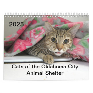 Calendrier 2025 Chats de l'Oklahoma City Animal Shelter