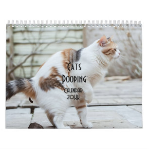 Calendrier 2025 des chats de baleine