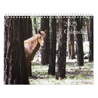 Calendrier 2025 Des Chevaux Sauvages Pour Soutenir