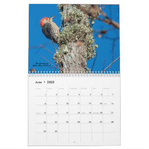 Calendrier 2025 des oiseaux de pic