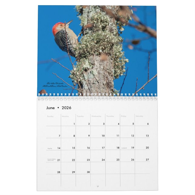 Calendrier 2025 des oiseaux de pic (Jun 2026)