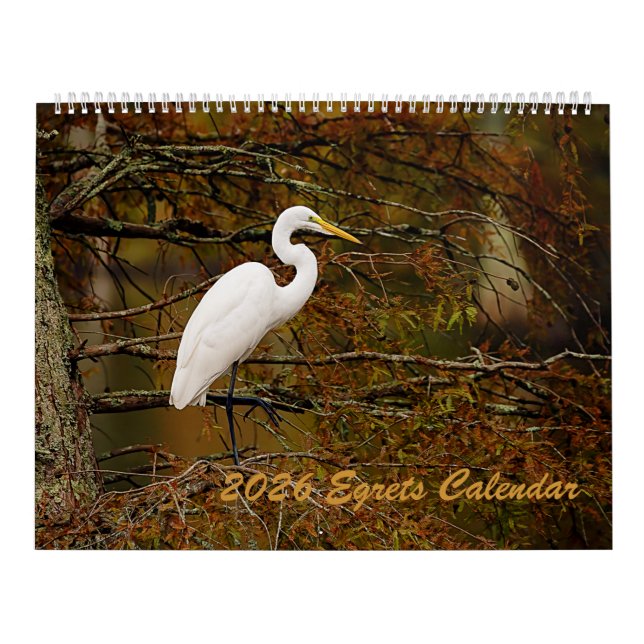 Calendrier 2025 Egrets (Protection)