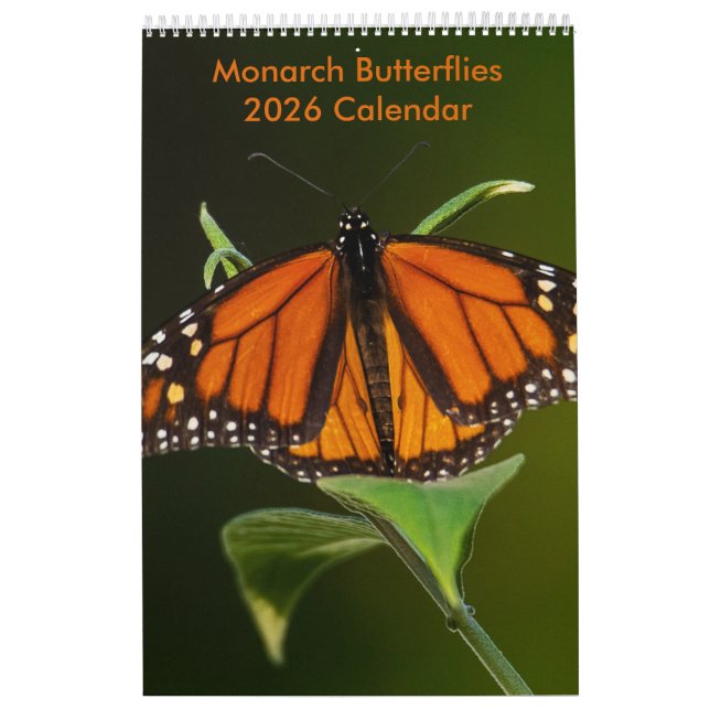 Calendrier 2025 Monarch Butterflies One Page Calendar (Protection)