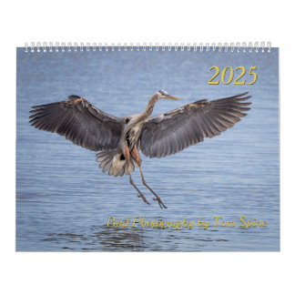 Calendrier 2025 - Photographies d'oiseaux par Tom 