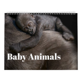 Calendrier 2026 Animaux de bébés