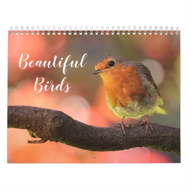 Calendrier 2026 Beaux oiseaux (Protection)