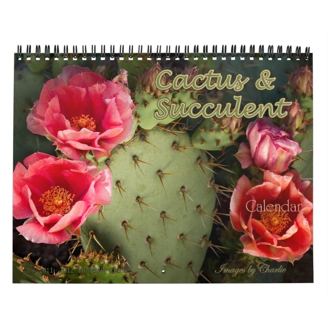 Calendrier 2026 Cactus & Fleur Succulente (Version originale) (Protection)