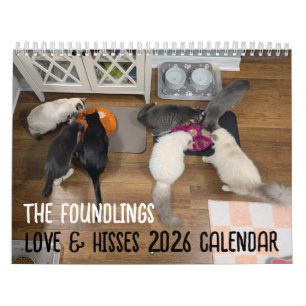 Calendrier 2026 Love & Hisses - les Enfants Trouvé