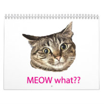 Calendrier 2026 MEOW quoi??