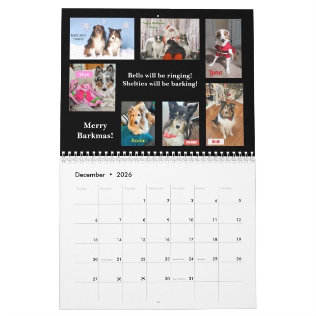 Calendrier 2026 Minnesota Sheltie Rescue Calendar (Dec 2026)