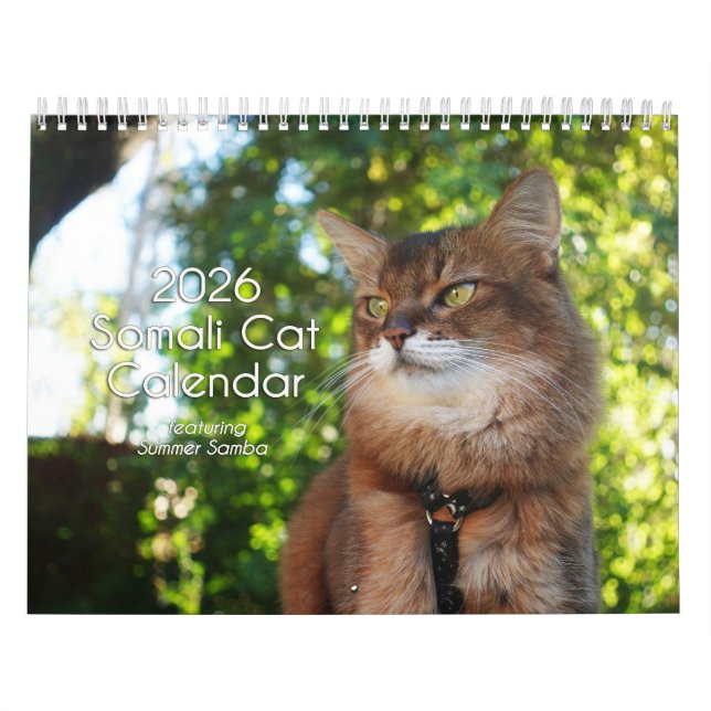 Calendrier 2026 Somali Cat Calendar Featuring Summer Samba (Protection)