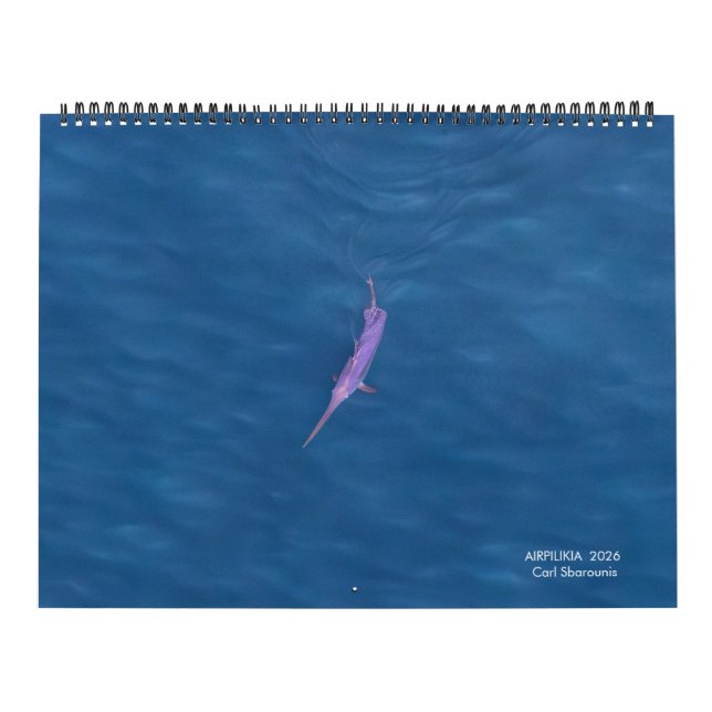 Calendrier 2026 Swordfish Calendar (Protection)