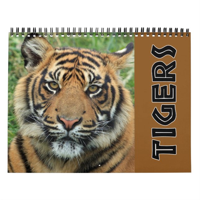 Calendrier 2026 Tigre sauvage (Protection)