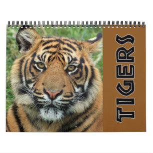 Calendrier 2026 Tigre sauvage