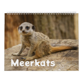 Calendrier 2026 Une année avec Meerkats