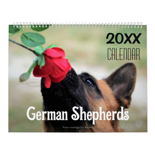 Calendrier 2027 Chien Berger Allemand  (Protection)