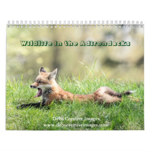 Calendrier 2027 Faune des Adirondacks Nature