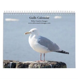 Calendrier 2027 Goélands du fleuve Hudson Photographie de l