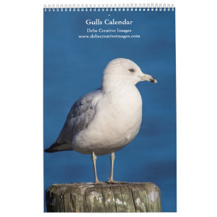 Calendrier 2027 Goélands du fleuve Hudson Photographie de l