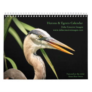 Calendrier 2027 Héron & Aigrettes Photographie d'oiseaux de
