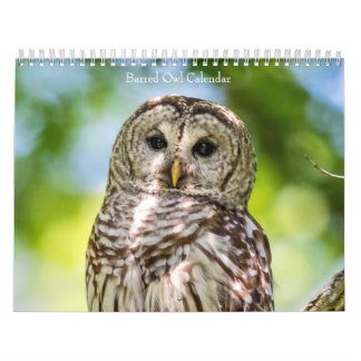 Calendrier 2027 Hiboux rayés | Mystères de la Forêt