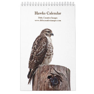 Calendrier 2027 Hudson Valley Red-tailed Hawks Photographie