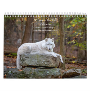 Calendrier 2027 Loups en Automne Photographie de Loup d'Aut
