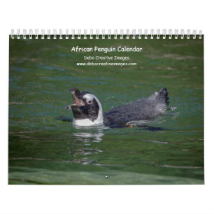 Calendrier 2027 Manchots africains Faune sud-africaine